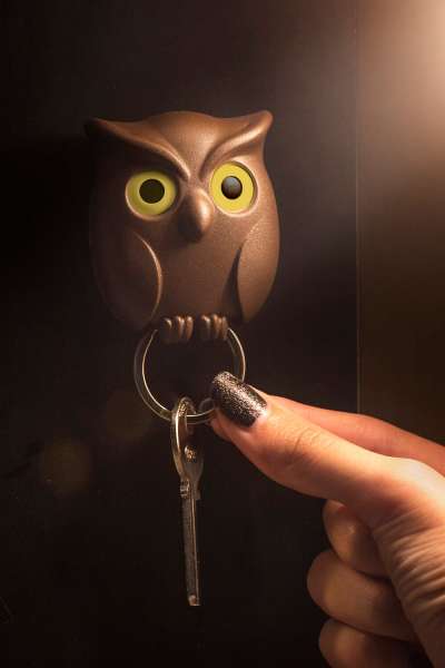 Брелок для ключей Night Owl №2